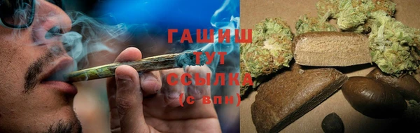 сатива Ростов