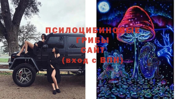спайс Абинск