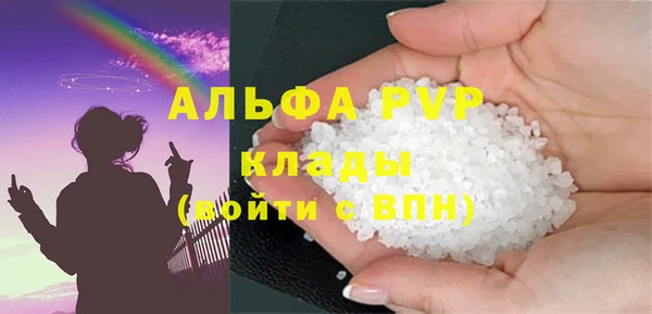 сатива Ростов