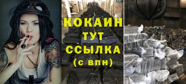 прущие грибы Абдулино