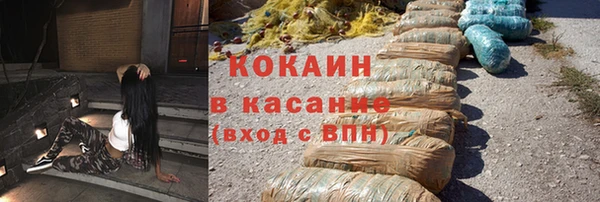 сатива Ростов