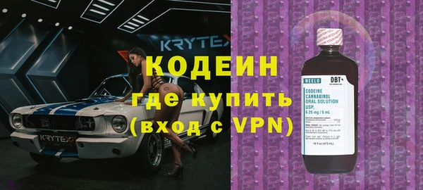 прущие грибы Абдулино