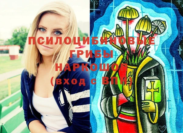 прущие грибы Абдулино